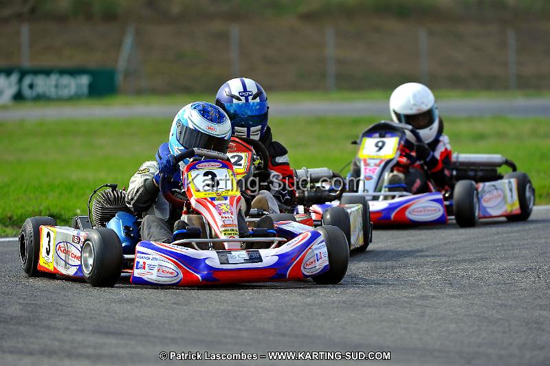 DSC_ (792).jpg